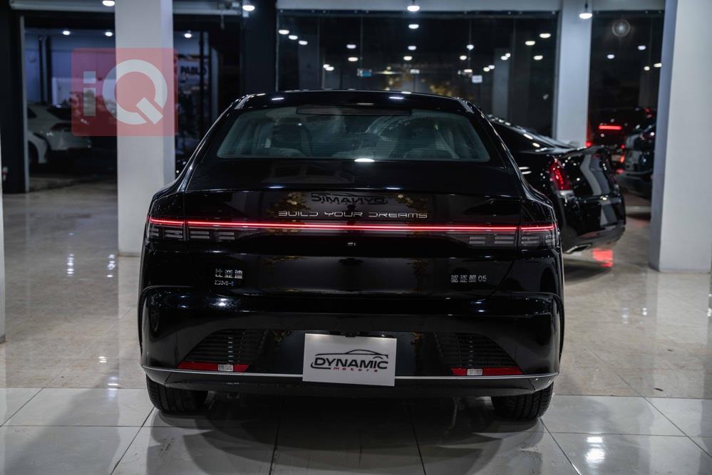 بي واي دي ديستروير 05